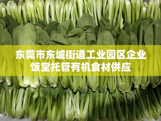 东莞市东城街道工业园区企业饭堂托管有机食材供应
