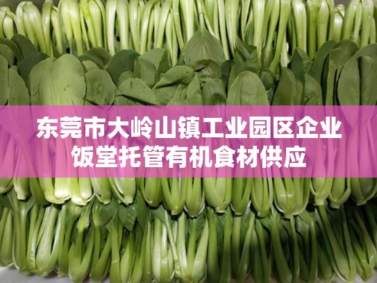 东莞市大岭山镇工业园区企业饭堂托管有机食材供应