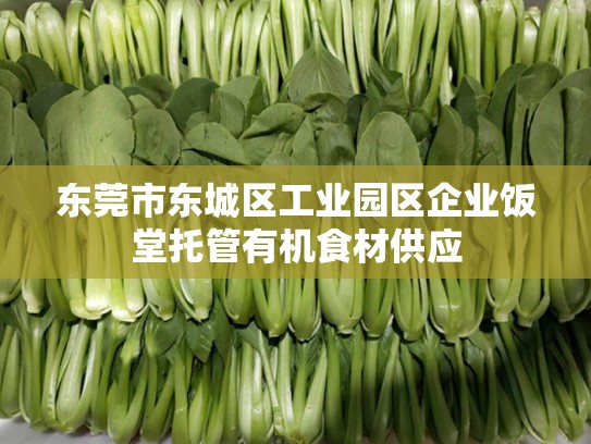 东莞市东城区工业园区企业饭堂托管有机食材供应