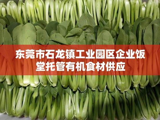 东莞市石龙镇工业园区企业饭堂托管有机食材供应
