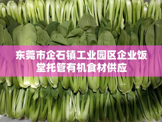东莞市企石镇工业园区企业饭堂托管有机食材供应