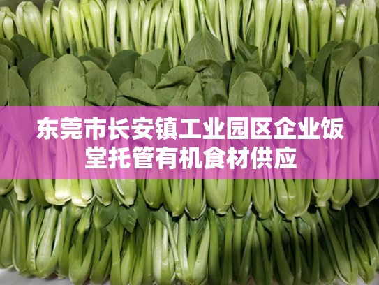 东莞市长安镇工业园区企业饭堂托管有机食材供应
