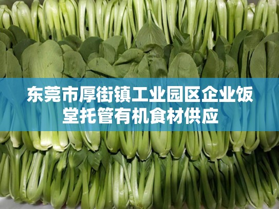 东莞市厚街镇工业园区企业饭堂托管有机食材供应