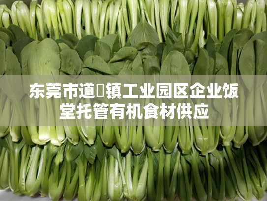 东莞市道滘镇工业园区企业饭堂托管有机食材供应