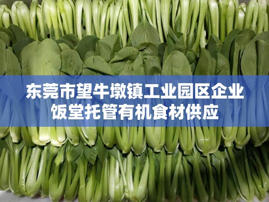 东莞市望牛墩镇工业园区企业饭堂托管有机食材供应