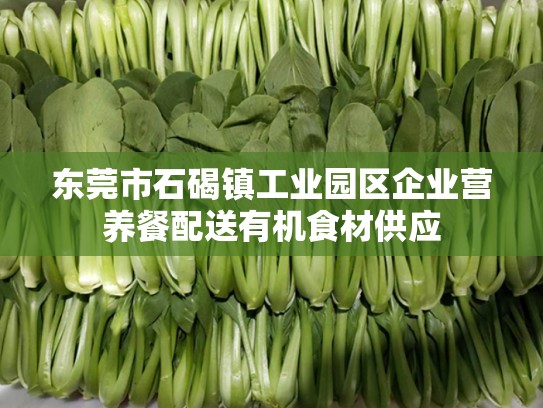 东莞市石碣镇工业园区企业营养餐配送有机食材供应