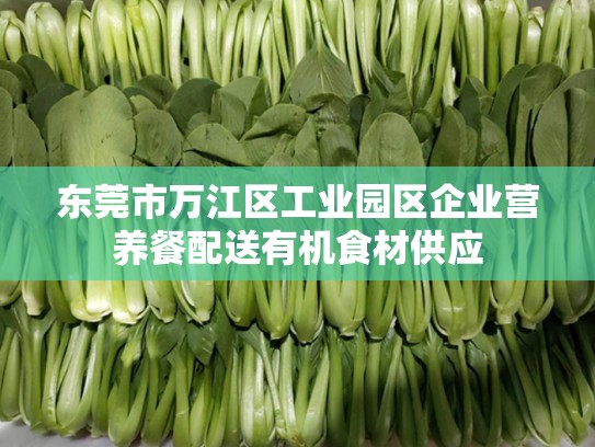 东莞市万江区工业园区企业营养餐配送有机食材供应