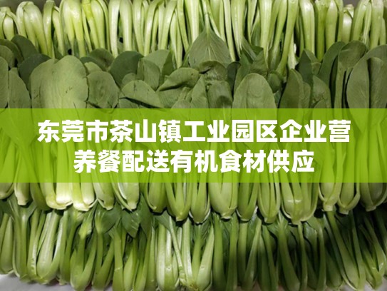 东莞市茶山镇工业园区企业营养餐配送有机食材供应