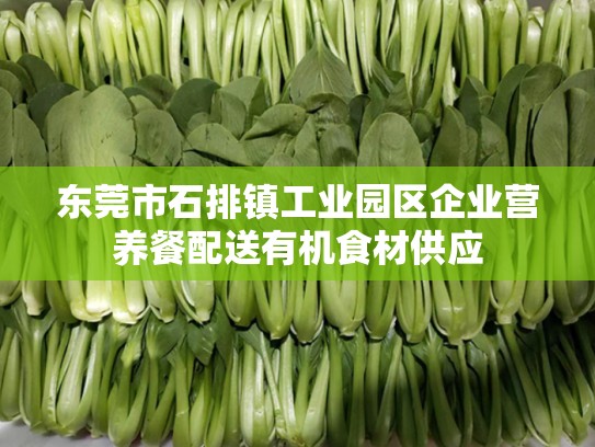 东莞市石排镇工业园区企业营养餐配送有机食材供应