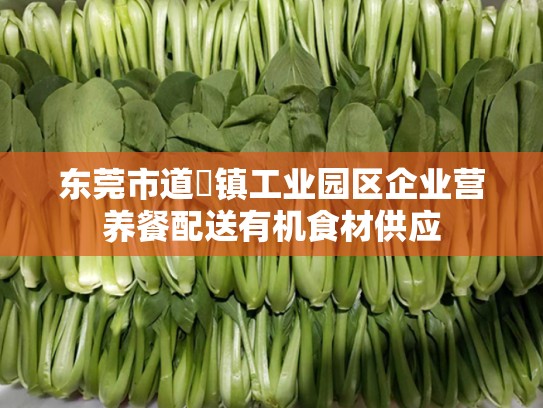 东莞市道滘镇工业园区企业营养餐配送有机食材供应