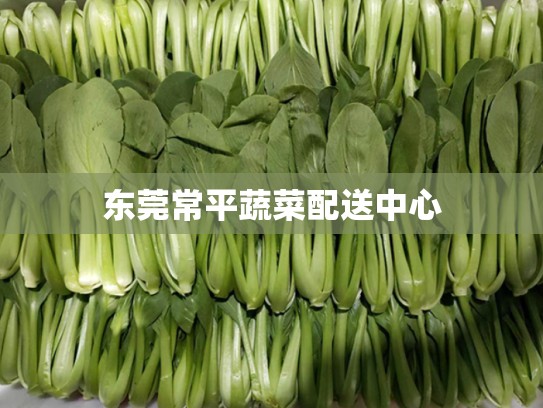 东莞常平蔬菜配送中心