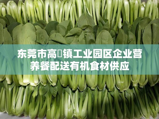 东莞市高埗镇工业园区企业营养餐配送有机食材供应