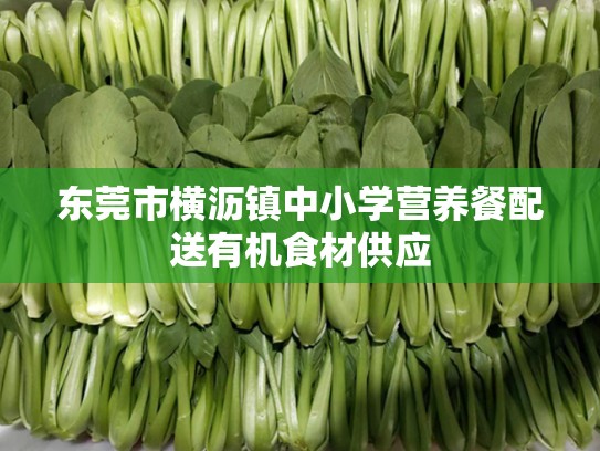 东莞市横沥镇中小学营养餐配送有机食材供应