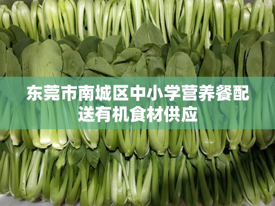 东莞市南城区中小学营养餐配送有机食材供应