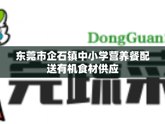 东莞市企石镇中小学营养餐配送有机食材供应