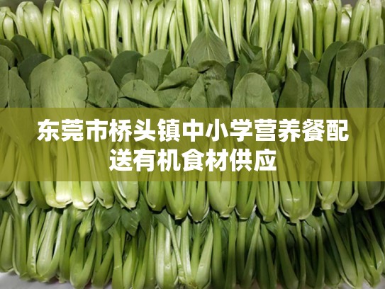 东莞市桥头镇中小学营养餐配送有机食材供应