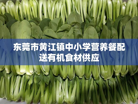 东莞市黄江镇中小学营养餐配送有机食材供应