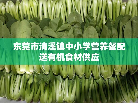 东莞市清溪镇中小学营养餐配送有机食材供应
