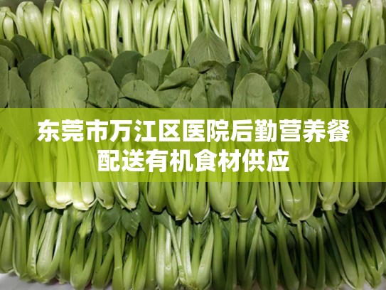 东莞市万江区医院后勤营养餐配送有机食材供应