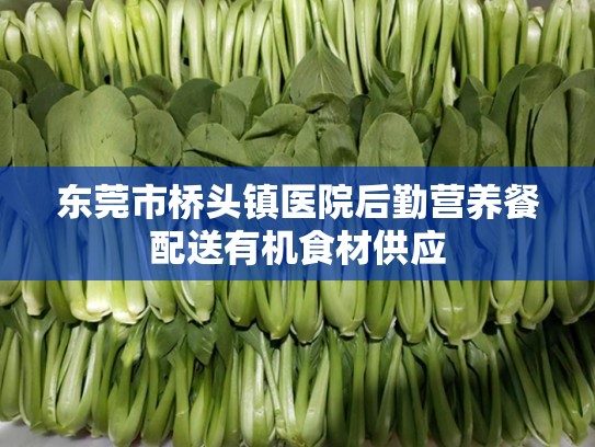 东莞市桥头镇医院后勤营养餐配送有机食材供应