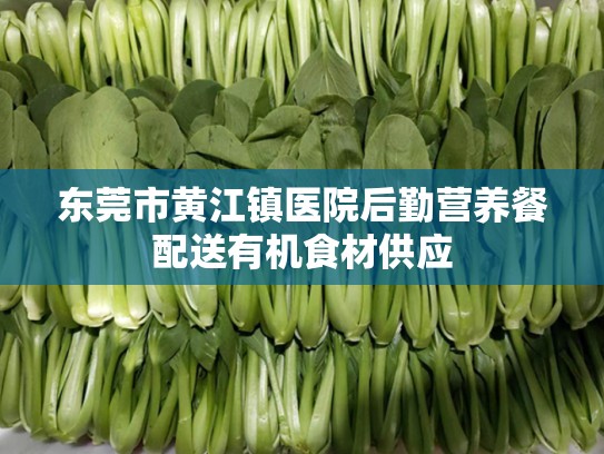 东莞市黄江镇医院后勤营养餐配送有机食材供应