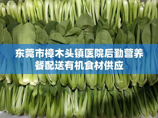 东莞市樟木头镇医院后勤营养餐配送有机食材供应