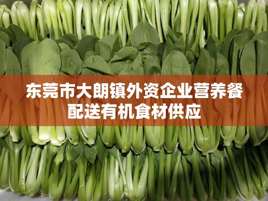 东莞市大朗镇外资企业营养餐配送有机食材供应