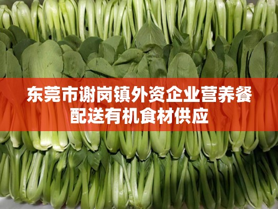 东莞市谢岗镇外资企业营养餐配送有机食材供应