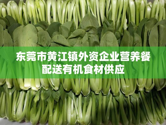 东莞市黄江镇外资企业营养餐配送有机食材供应
