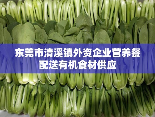 东莞市清溪镇外资企业营养餐配送有机食材供应