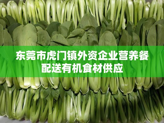 东莞市虎门镇外资企业营养餐配送有机食材供应