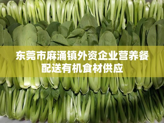 东莞市麻涌镇外资企业营养餐配送有机食材供应