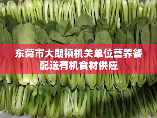 东莞市大朗镇机关单位营养餐配送有机食材供应