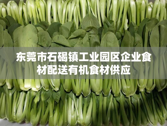 东莞市石碣镇工业园区企业食材配送有机食材供应