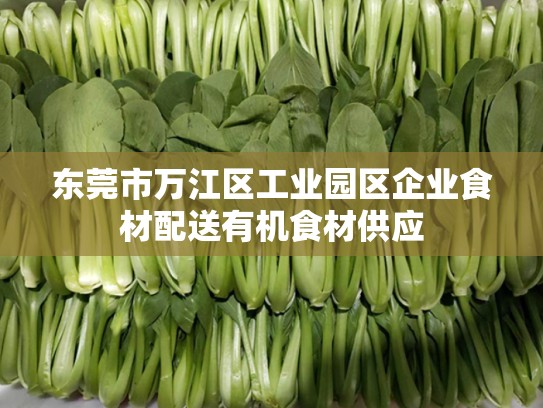 东莞市万江区工业园区企业食材配送有机食材供应