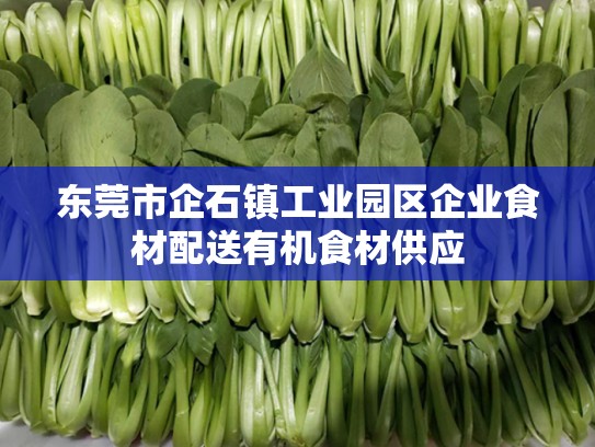 东莞市企石镇工业园区企业食材配送有机食材供应