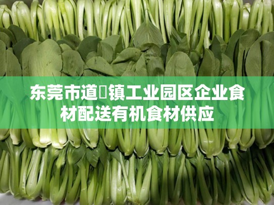 东莞市道滘镇工业园区企业食材配送有机食材供应