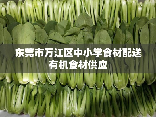 东莞市万江区中小学食材配送有机食材供应
