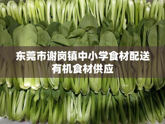 东莞市谢岗镇中小学食材配送有机食材供应
