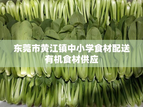东莞市黄江镇中小学食材配送有机食材供应