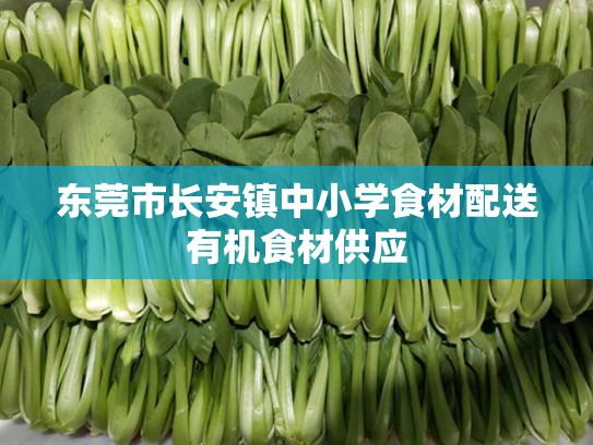 东莞市长安镇中小学食材配送有机食材供应