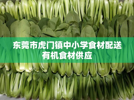 东莞市虎门镇中小学食材配送有机食材供应