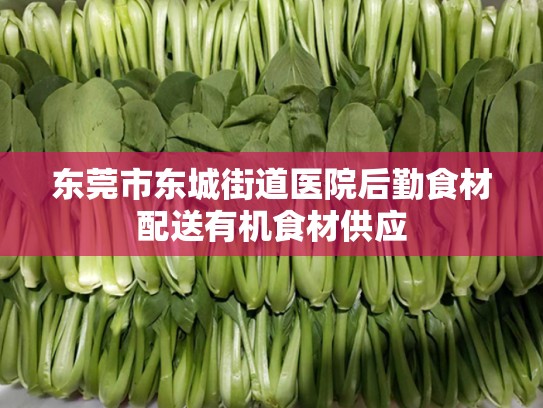 东莞市东城街道医院后勤食材配送有机食材供应
