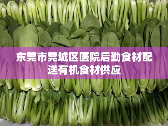 东莞市莞城区医院后勤食材配送有机食材供应