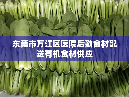 东莞市万江区医院后勤食材配送有机食材供应