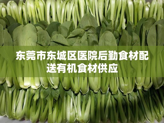 东莞市东城区医院后勤食材配送有机食材供应
