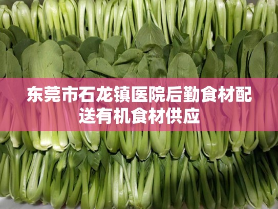 东莞市石龙镇医院后勤食材配送有机食材供应