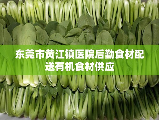 东莞市黄江镇医院后勤食材配送有机食材供应