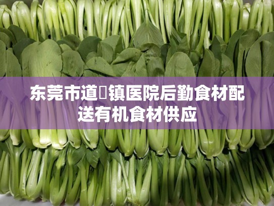 东莞市道滘镇医院后勤食材配送有机食材供应