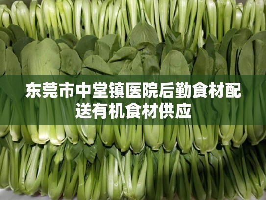 东莞市中堂镇医院后勤食材配送有机食材供应